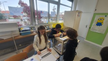 009 - Élections des délégués des classes - EEPU CHAMPFLEURY
